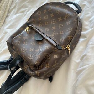 Authentic Louis Vuitton Palm Springs Backpack PM